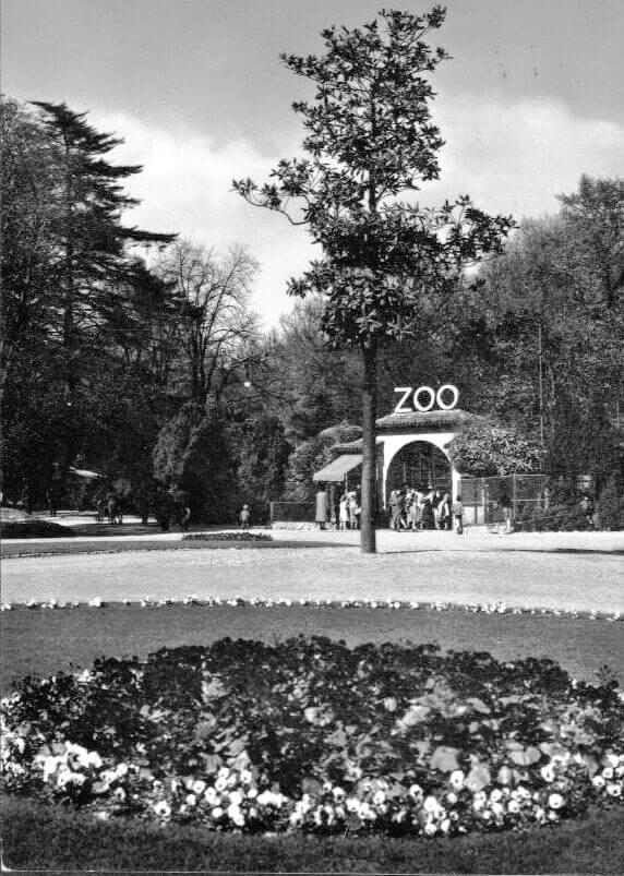 zoo milano prima della chiusura nel 1992
